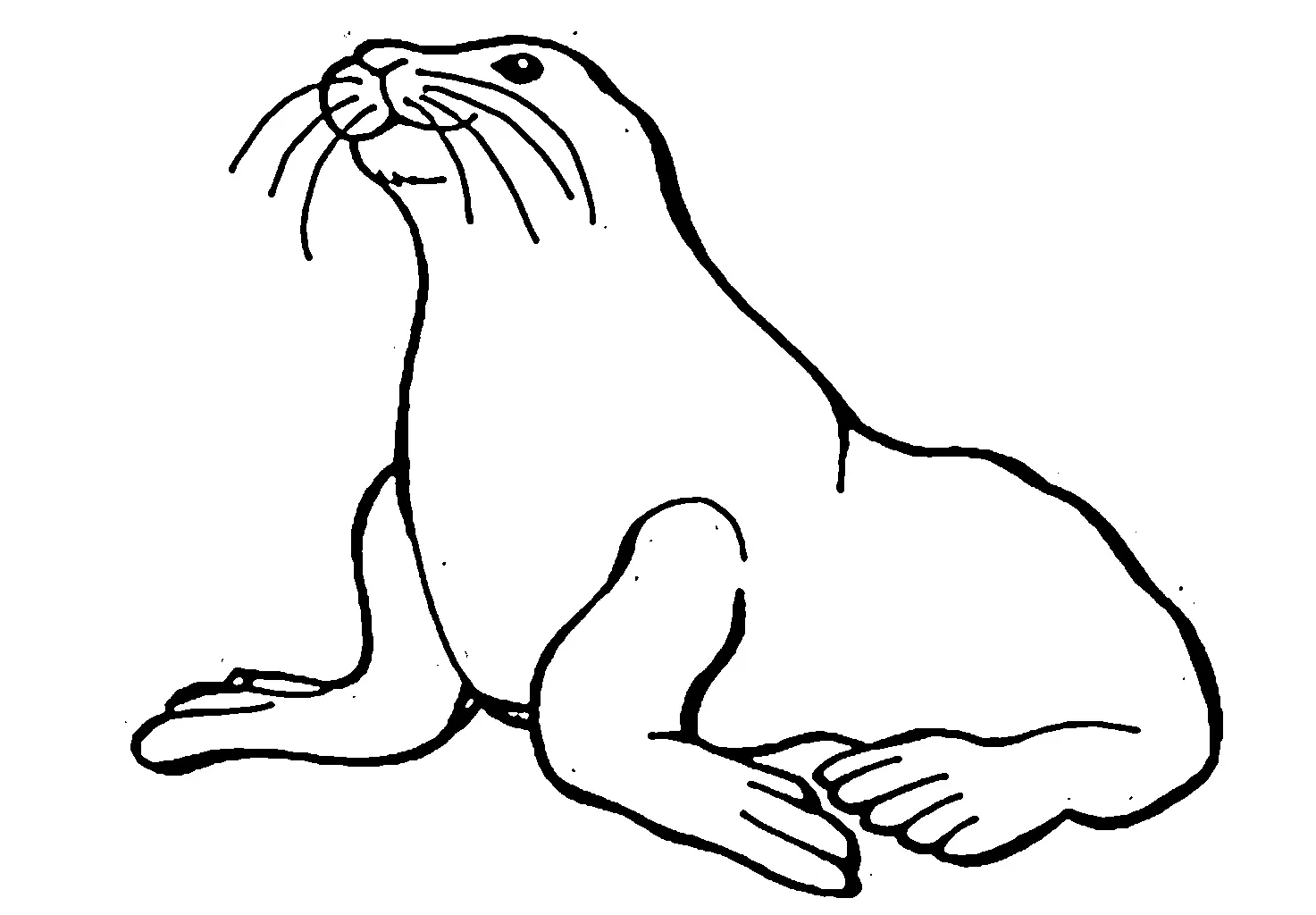 Gambar Mewarnai Anjing Laut - Free printable Dog coloring page for children.